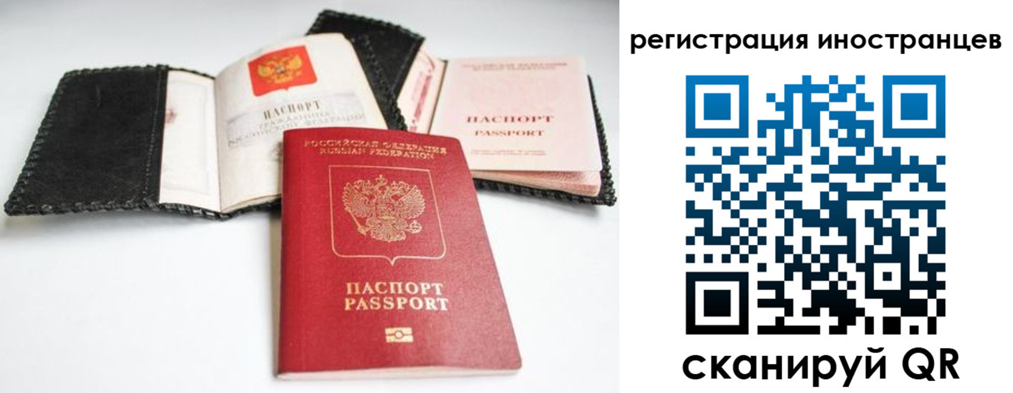 прописка гарантия в Нерчинске